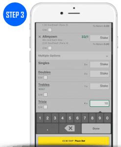trixie calc|trixie bet calculator.